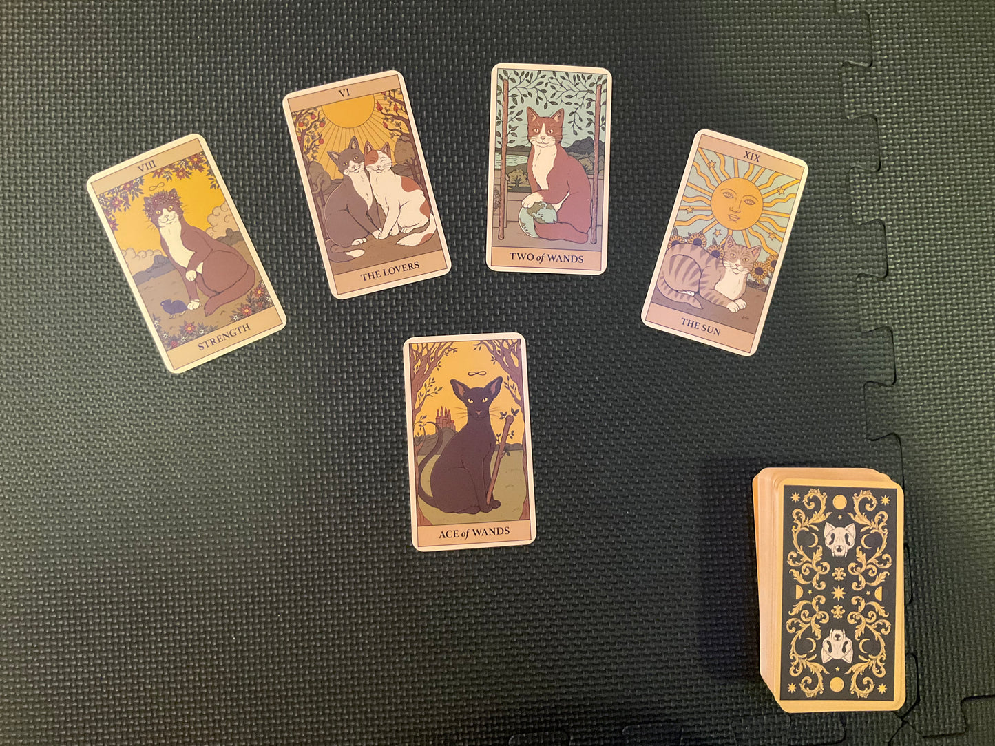 Tarot Reading - 30 minutes